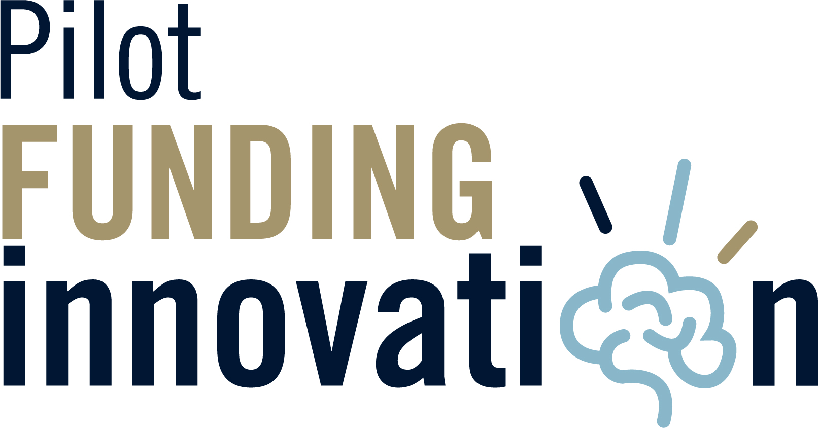 pilot funding innovation
