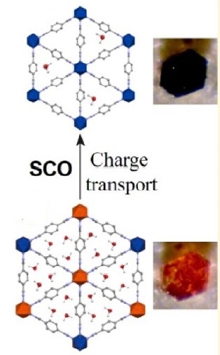 sco mof