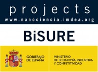 BiSURE Superficies nanoestructuradas biofuncionales como nueva generación de implantes en medicina regenerativa