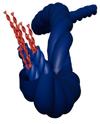 Una molécula, cuatro estructuras: los investigadores desvelan cómo las estructuras supramoleculares deciden qué estructura adoptar